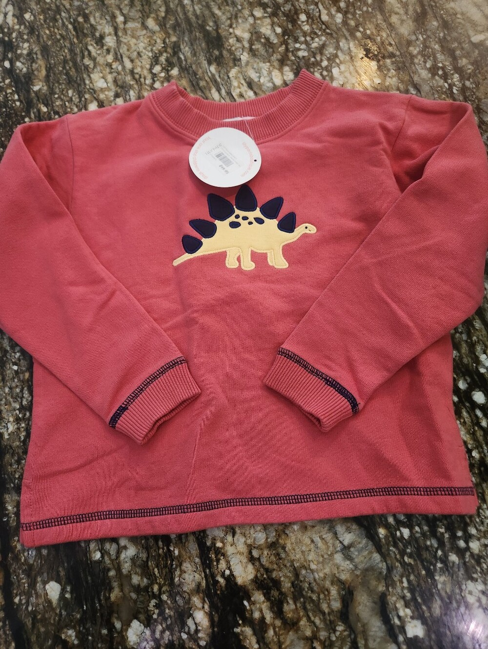 Coral Pink Kids Sweatshirt with Dino Applique